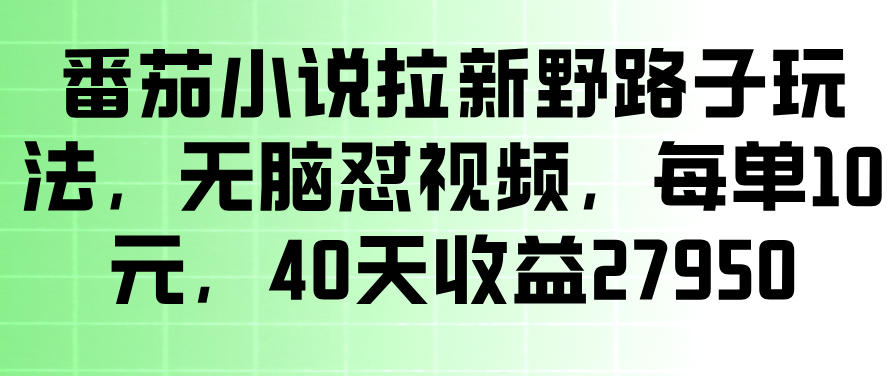 番茄小说拉新野路子玩法,无脑怼视频,玩法简单、见效快,每单10米,40天收益27950-赛德副业库