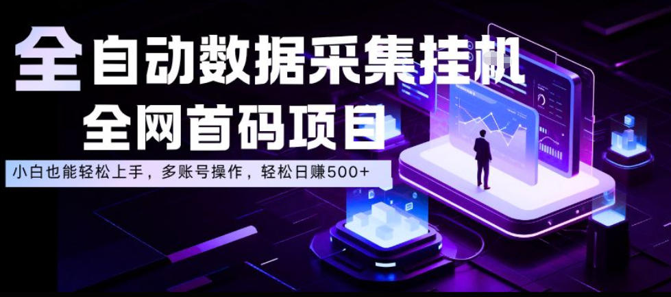 全自动数据采集挂G,全网首码项目,简单易操作,小白也能轻松上手,多账号操作,轻松日入500+【揭秘】-赛德副业库